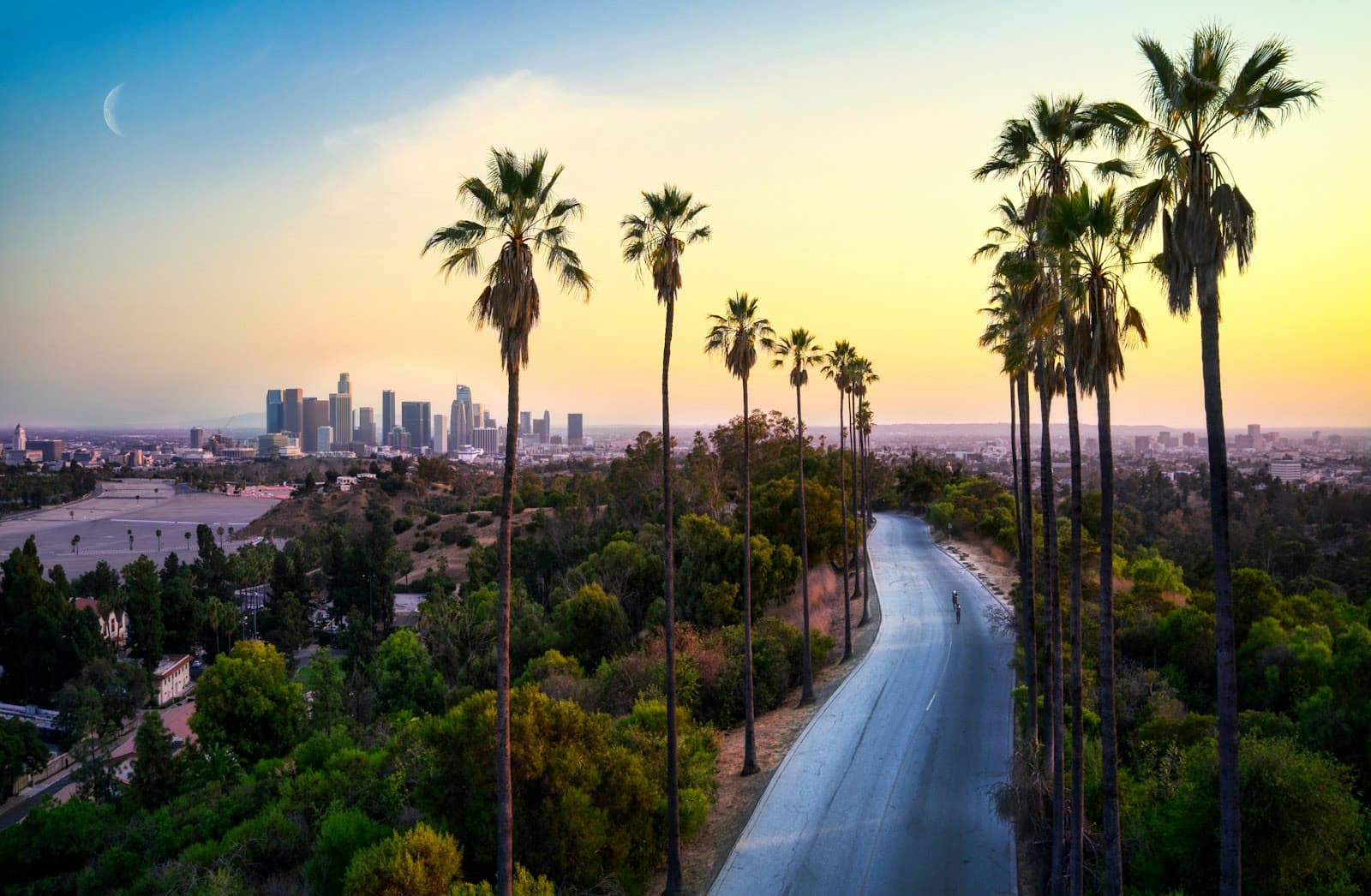 Palm-lined Los Angeles road overlooking the downtown skyline at sunset